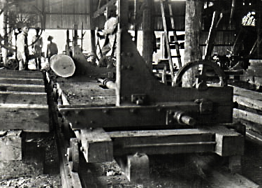 Sawmill headrig for ripping logs.